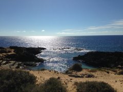 Tidal Pool